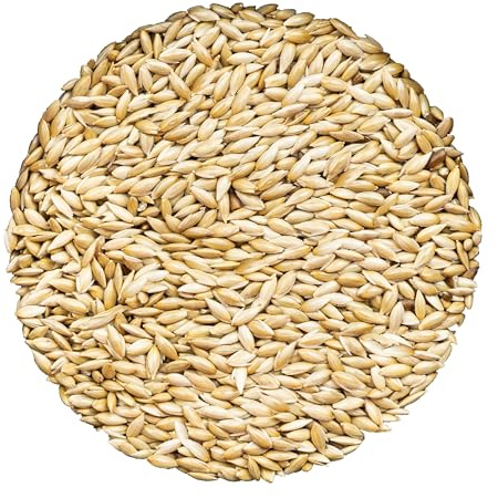 Unida Alpiste Canary Seed for Birds – 10 lbs Bulk Bird Food, 100% Pure & Natural, Non-GMO Bird Seed, No Additives