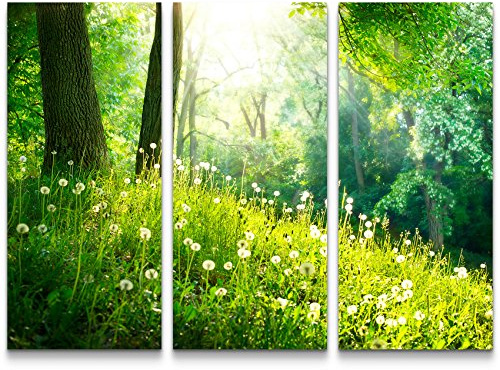 Leinwandbilder | Bilder Leinwand 130x90cm Pusteblumen im Wald