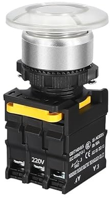 1 pz 22 mm con interruttore a pulsante a fungo luminoso impermeabile autobloccante momentaneo auto-reset pulsante di accensione rosso blu 12 V 24 V on off(White,SELF-LOCKING_2NO_220V)