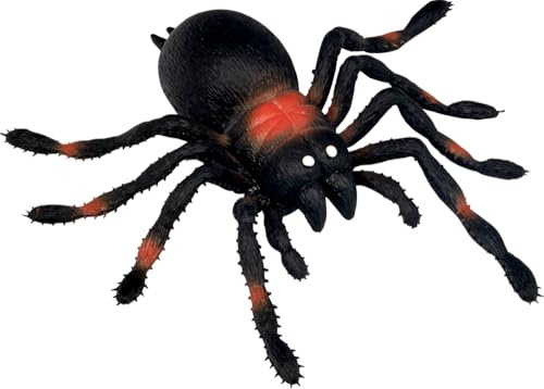 Die Spiegelburg - Kellerspinne - Wild+Cool
