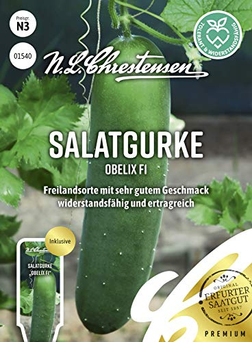 N.L.Chrestensen Obelix F1 Samen, Saatgut für Gurken, Freilandsorte mit sehr gutem Geschmack, widerstandsfähig und ertragreich, Inhalt reicht für ca. 20 Pflanzen