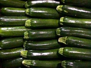 Squash Summer Zucchini Dark Green 1,000 Seeds