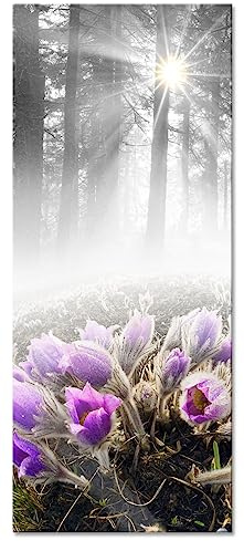 Pixxprint Glasbild Panorama, Wandbild aus Echtglas, blühende Blumen im Wald, 100x40 cm, inkl. Aufhängung und Abstandshalter