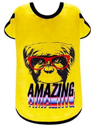 Croci T-Shirt Amazing 40 cm - 21 g