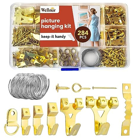 Wellnur 284pcs Picture Hooks | Heavy Duty Picture Hanging Kit | Rustproof Assorted Picture Hangers, 62 Hooks, 30 Sawtooth, D-Rings, Wire, Nails & Screws for Mirrors, Frames & Paintings
