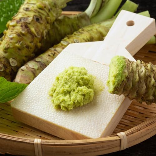 semi di radice di wasabi, balcone serra, biologici resistenti, esotiche, 500pcs