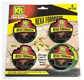 KB KB