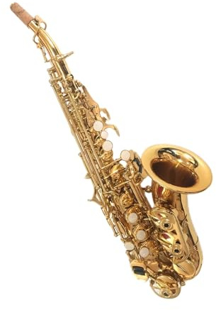 Goldenes Saxophon Für Anfänger Professionelles B Altsaxophon Mit Gold Finish Für Erwachsene