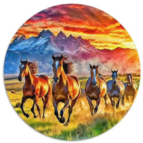 Pferd Rundes 1000 Puzzle Puzzle Rund Puzzle 3D Hochauflösung Pädagogisches Für Erwachsene Und Kinder Erwachsene Impossible Puzzle 1000pcs (67.5x67.5cm)