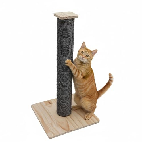 eyepower 62 cm Kratzbaum Luca - 9,2 cm Kratzsäule für Katzen mit Bambus Holzplatte - Katzenkratzbaum Klein mit M8 Sisalstamm Grau - Kratzstamm Katze Stabil - Sisal Katzenbaum mit Massivholz Fußplatte