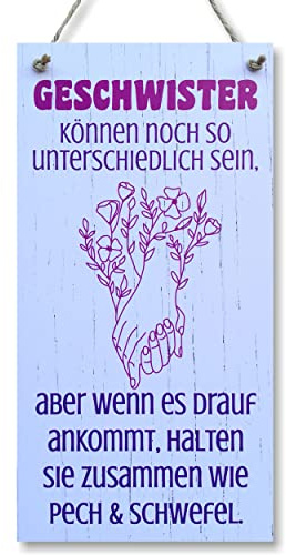 CARISPIBET Geschwister können noch so unterschiedlich sein Dekorationsschild Hausschild Wohnkultur im Vintage-Look mit Zitat als Geschenk 30x15