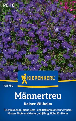 Kiepenkerl Männertreusamen Kaiser Wilhelm 1015750 - reichblühende Sorte - blaue Sorte - Beet- und Balkonblume - einjährig - Saatgut, Blumensamen