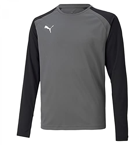 PUMA Teampacer Gk LS Jersey Jr Camiseta de Manga Larga, Unisex niños, Smoked Pearl, 14 años