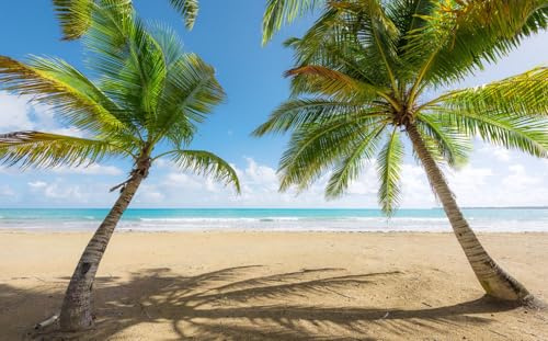 Sanders & Sanders fotomural playa verde y azul 450 x 280 cm