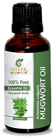 Mugwort Oil (Artemisia Vulgaris) Essential Oil 100% Pure Natural Undiluted Uncut Therapeutic Grade Oil 0.16 Fl.OZ