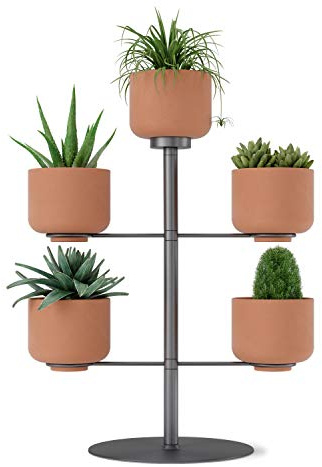 UMBRA Terrapotta Blumenständer mit 5 Terracotta Übertöpfen 7,5cm Durchmesser für Zimmerpflanzen, Sukkulenten, Luftpflanzen, Kakteen, Kunstpflanzen, Metall/Terracotta