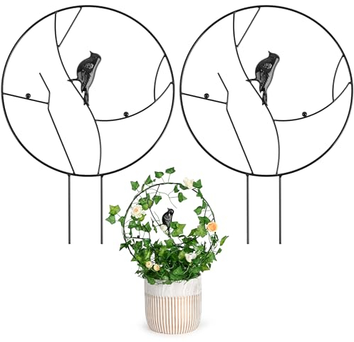 Grünara 2 Stück Rankgitter für Zimmerpflanzen und Garten - Metall Rankhilfe für Topfpflanzen, Stabile Pflanzenstützen für Deko Wohnzimmer (Vogel)