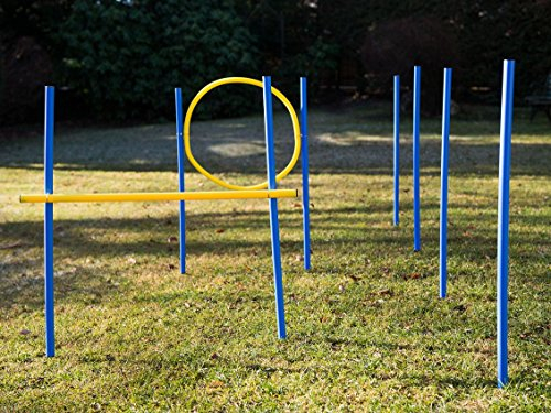 Agility Set für Hunde, Slalomstangen, Hürde und Jumpring, Hundetraining für Zuhause, Hundesport