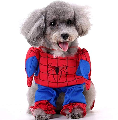 LoveLegis Spider-Man Kostüm Hund L Geschenkidee Weihnachten Geburtstag Superheld Spinnennetz Abenteuer Comic Fantasie Lustig Welpe Maskerade Sympathisch Foto Aktion