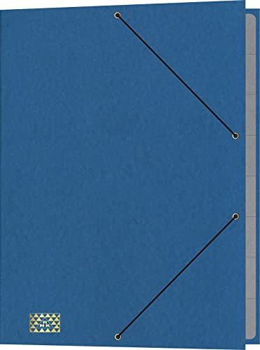 RNKVERLAG 4616-4 - Konferenz- und Ordnungsmappe mit Gummizug, Maße (BxH) 245 x 340 mm, bis DIN A4, 9 Fächer, blau, 1 Stück
