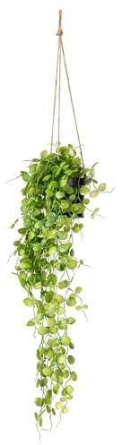 Vickerman Everyday 29 Indoor Green Mini Leaf Ivy - Fixed in Hanging Pot - Decoration of Durable Polyester Plant in Pot - Maintenance Free - Reliable and Durable