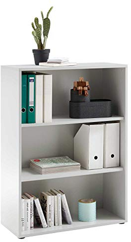 Möbel Jack Aktenregal Standregal Bücherregal Aufbewahrungsregal | Dekor | Lichtgrau | 3 Fächer | BxHxT: 80x111x35 cm