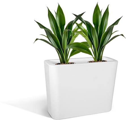 Kloris Jardinière Haute rectangulaire Moderne pour haie et clôture Mod. Blog polyéthylène 70 x 30 cm Hauteur 70 cm