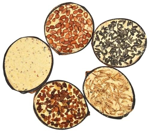 Lot de 10 moitiés de noix de coco remplies de nourriture pour oiseaux sauvages - Jouet naturel pour oiseaux sauvages - Idéal pour le jardin et le balcon - Durable et durable - Station d'alimentation