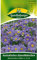 Australisches Gänseblümchen, Blausternchen