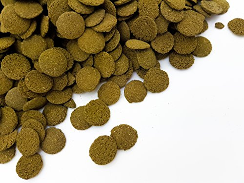 HERONS - Spirulina Algae Wafers - 15 mm Sinking Wafer - For all Bottom-Feeding Fish and Crustaceans - Rich in Fiber - Immune Support - Enhance Colour and Improves Digestion - 50 Grams