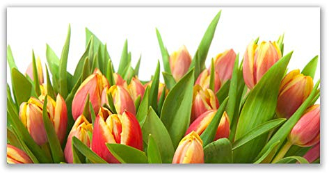 Tulup Acrylic Glass Print 140x70cm Wall Art - Wall Picture Plastic Acrylic Glass - Tulips Floral