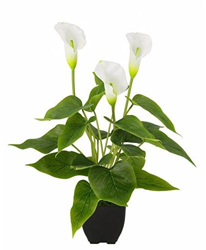 Flair Flower Kunstpflanze Calla im Topf Künstliche Blumen Kunstblumen Seidenblumen Kunststoff Unechte Deko Gefälschte Real Touch Grünpflanze exotische Lilie Grabdeko, 021140W, Weiß, 42x20x20 cm
