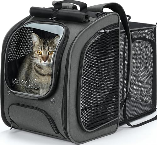 Pecute Ryggsäck för katt expanderbar, stort utrymme katt bubbla ryggsäck, andningsbar kattbärare, skuggad hund ryggsäck bärare för resor, vandring, veterinär, 32 cm L x 26 cm B x 42 cm H, grå