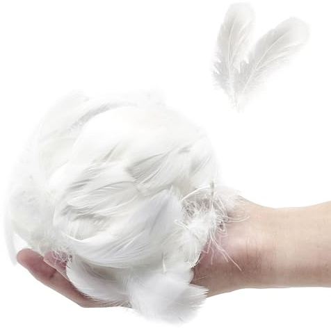 EUPSIIU 400 Pieces Feathers for Crafts, White Feathers, Natural Goose Feathers for Crafting DIY, White Feather Ornament, for Decoration Dreamcatcher Party Wedding Costumes (White)