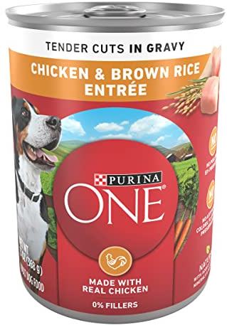 Purina ONE Natural High Protein Dog Food, Tender Cuts in Gravy Chicken and Brown Rice Entrée - 13 Ounce (Pack of 12)