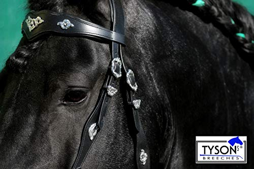 Tysons Breeches Jose Spanisch Portugisisch Trense Zaum Reitzaum Schwarz oder Braun VB WB X Full XX Full Kaltblut Leder weich unterlegt incl. Zügel (Schwarz, XX Full)