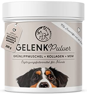 Poudre Articulation Chien 300g avec MSM, Poudre de Moule Verte pour Chien et collagène - Poudre pour Soutenir Anti inflammatoire Chien et arthrose Chien Traitement - Glucosamine chondroïtine Chien