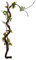 Ramita decoración hermoso árbol artificial decorativo largo plástico seco boda seco rama decoración Jingan