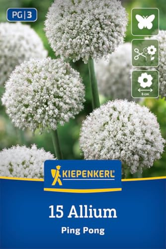 Kiepenkerl Zierlauch Ping Pong 2700018 Blumenzwiebeln Riesenzierlauch weißer Zierlauch 100 cm mehrjährig winterhart bienenfreundlich Schnittblume für Präriegarten und Kiesbeet