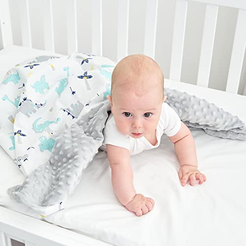 Miracle Baby Couverture Coton pour Bébé Naissance, 78 x 100 cm, Couverture Minky en Polaire pour Enfant Fille et Garçon, pour Sièges Bébé Poussettes Lits (Dinosaure)