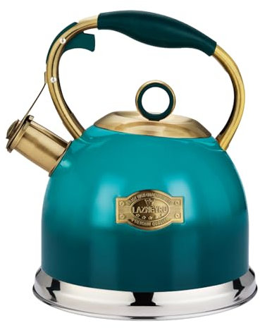 Bouilloire sifflante en acier inoxydable de 3 l avec poignée résistante à la chaleur, bouilloire sifflante pour plaques à induction