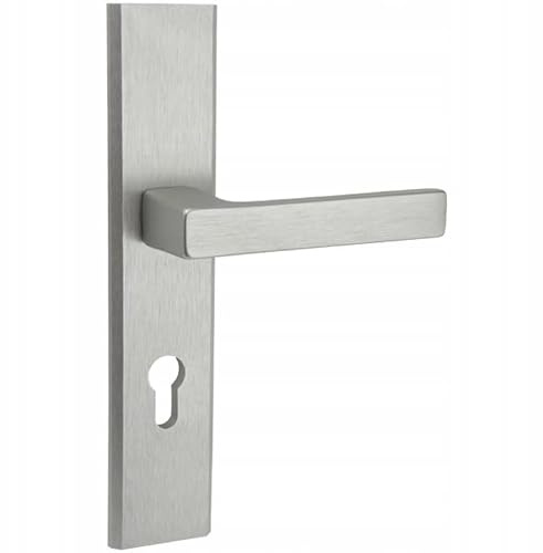 opncorp Poignée de porte sur plaque longue - Poignée de porte avec ressort de rappel - Ferrure de porte extérieure résistante aux intempéries - Poignée de porte universelle en aluminium - Garniture de