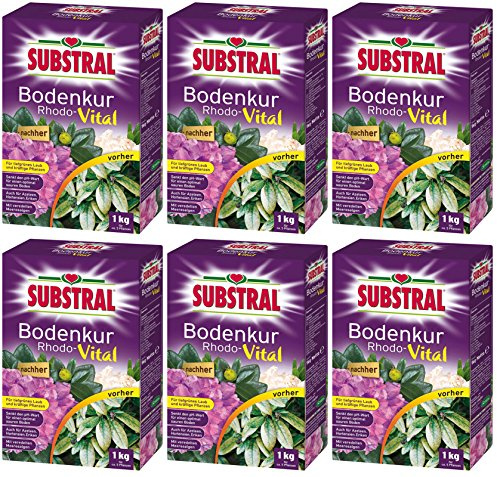 6 x 1 kg Substral Rhodo-Vital Bodenkur, NPK-Dünger 5-4-7,5