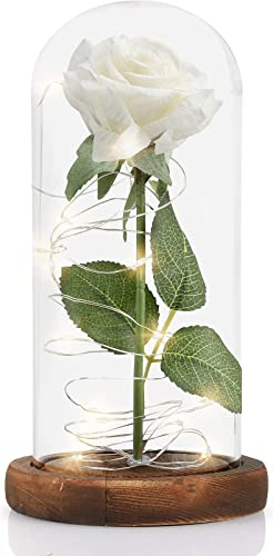 MOOKLIN ROAM Rosa Eterna, Bella e la Bestia Rose e Lampada a LED con Cupola in Vetro e Base in Legno, Sorpresa Regalo per Valentine's Day et Anniversario di Matrimonio, Perfetti Decorazione