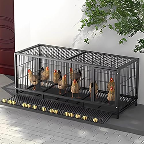 Hühnerstall Freilaufgehege aus Verzinktem Vierkantrohr für Hühner, Kleintiere & Pflanzen für 6 Hühner (Size:150 * 58 * 62cm,Color:with Egg Tray)