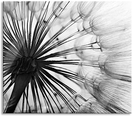 Schöne Pusteblume Herdabdeckplatte & Spritzschutz aus Echtglas | Für Herd-Kochfelder | 60x52 cm