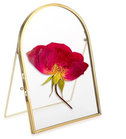 SUMTree Glas Bilderrahmen Glasrahmen für Gepresste Blumen Golden Ständer Fotorahmen aus Metall, Tischrahmen für Weichnachten Hochzeit, Geometrische Ornament für Wohnzimmer Pflanze Probe Clip 17x12 cm