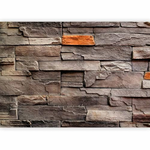 Fotomurales B&D XXL - Efecto Ladrillo 400x280 cm XXL Papel pintado tejido no tejido Decoración de Pared decorativos Murales moderna Diseno Fotográfico Piedras optica Muro f-B-0063-a-c