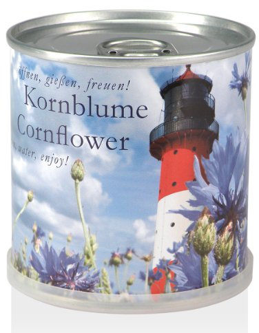 Mac Flower's Bleuet à Faire Pousser en Boite