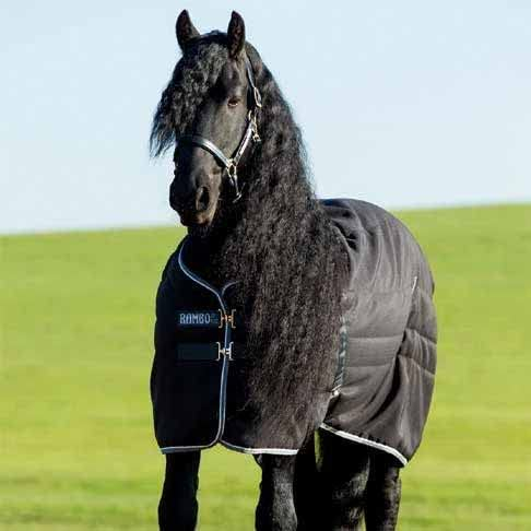 Horseware Rambo Stable Rug 400g - Black